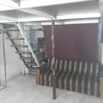 Cuarto Basico